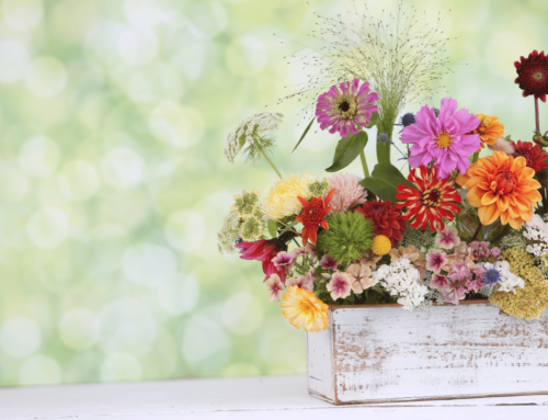 Celebrate with Unique Birthday Flower Arrangements