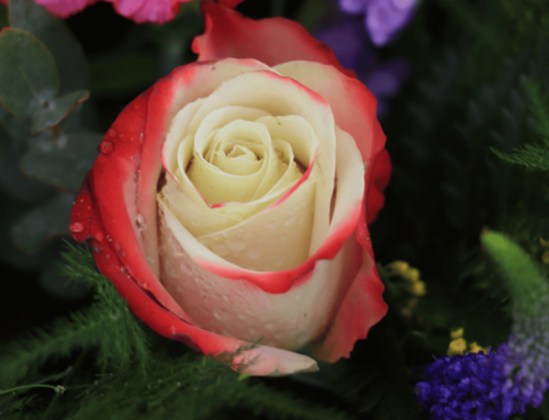 The Art of Creating a Stunning Single Rose Arrangement