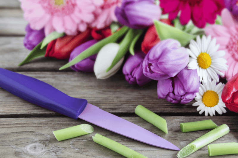 The Ultimate Guide to the Longest Lasting Flowers for Bouquets